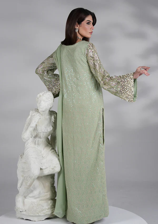 Mint Green - Embroidered Chiffon Suit | Ready To Wear