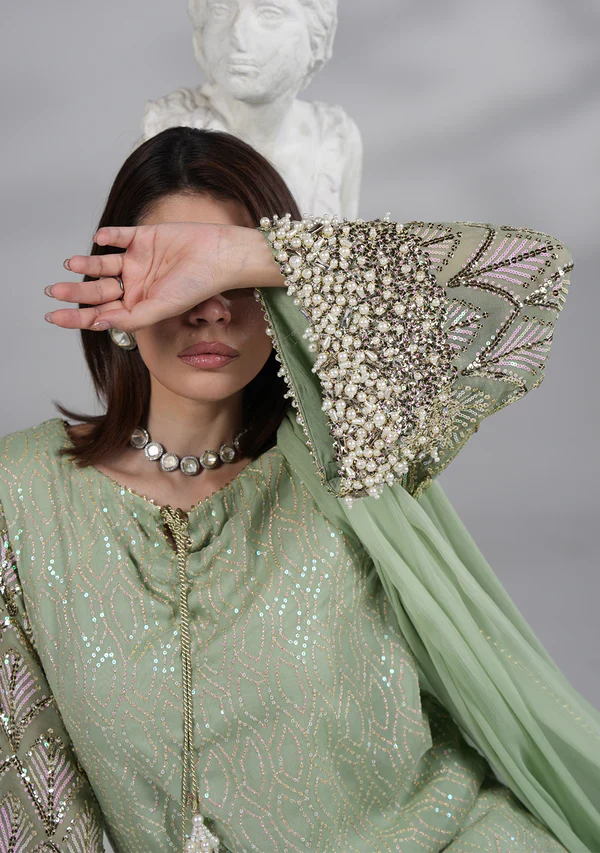 Mint Green - Embroidered Chiffon Suit | Ready To Wear