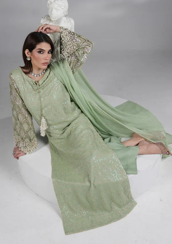 Mint Green - Embroidered Chiffon Suit | Ready To Wear