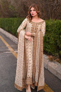 Ivory Glimmer: Embroidered Chiffon Suit | Ready To Wear